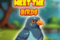 Meet The Birds img